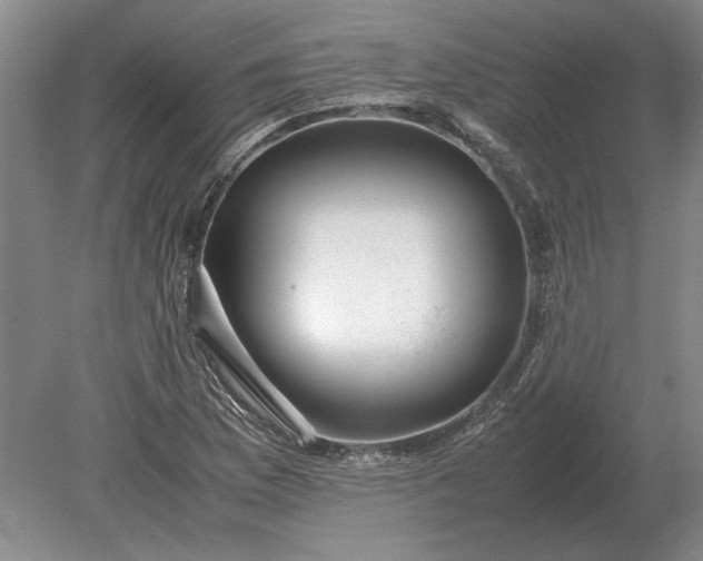 X0000079301169200612011742