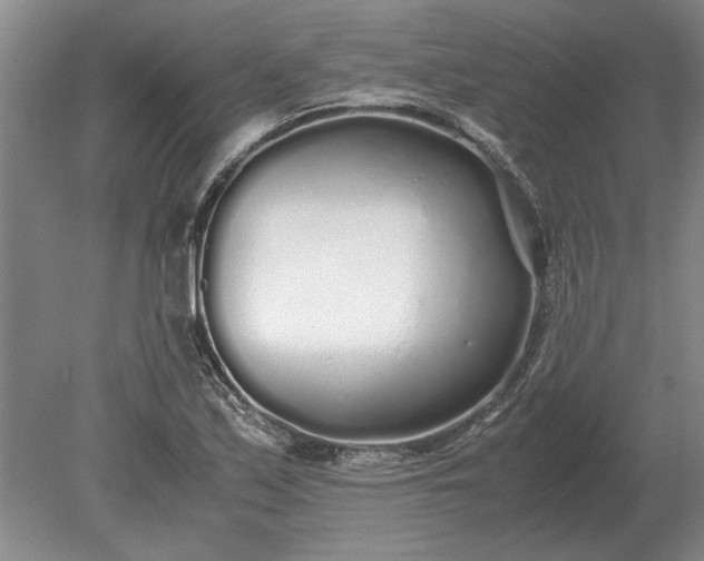 X0000079301171200612011742