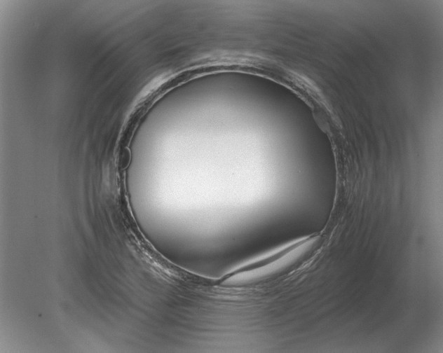 X0000079301172200612011742