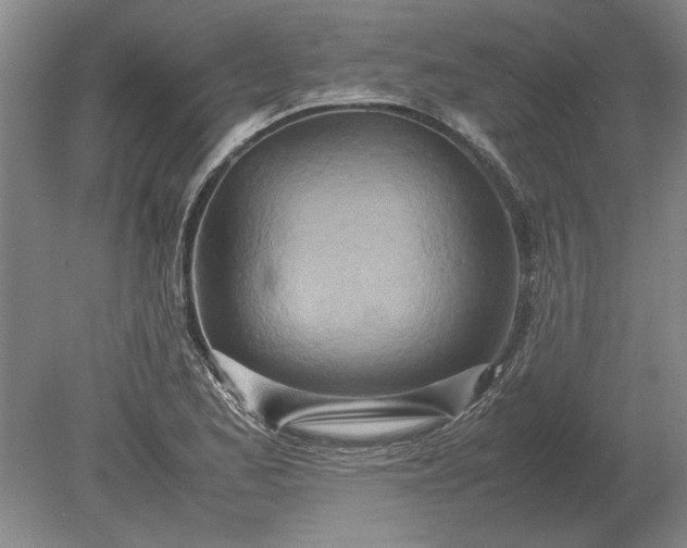 X0000079301173200612011742