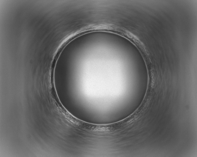 X0000079301174200612011742