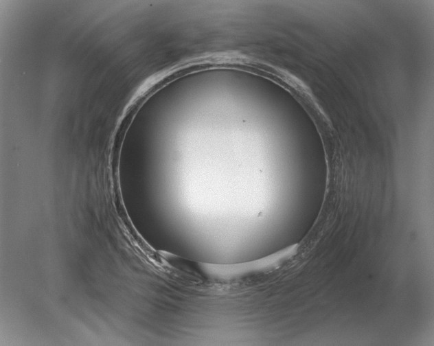 X0000079301176200612011742