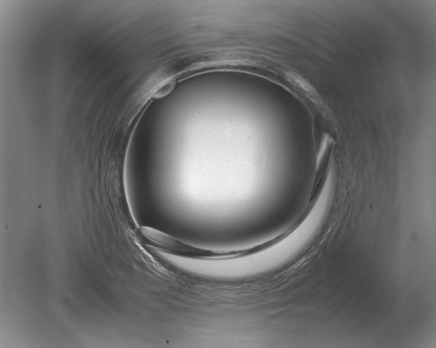 X0000079301177200612011742