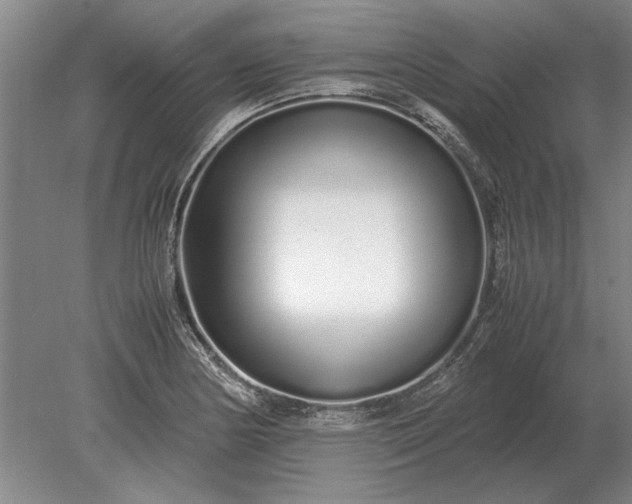 X0000079301178200612011742