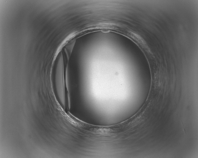 X0000079301180200612011742