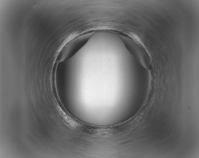 X0000079301181200612011742