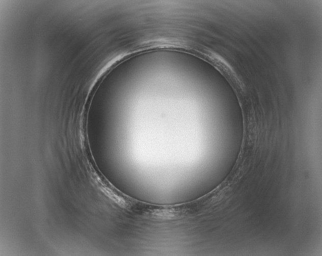 X0000079301182200612011742
