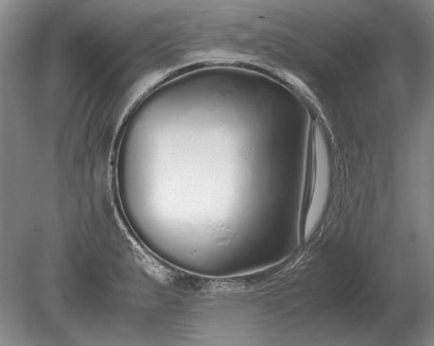 X0000079301183200612011742