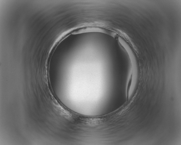 X0000079301184200612011742