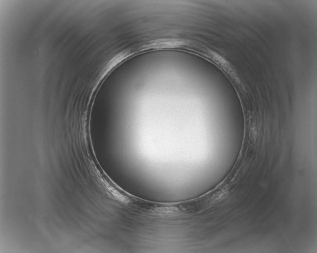 X0000079301186200612011742