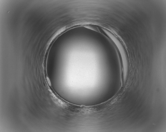 X0000079301189200612011742