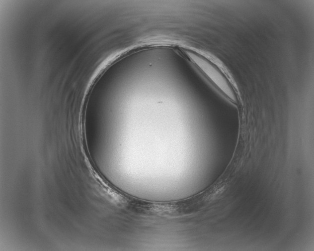 X0000079301191200612011742