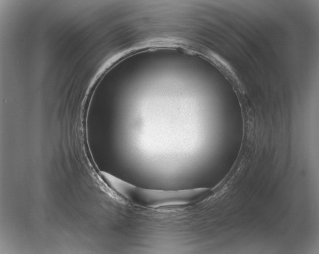 X0000079301192200612011742