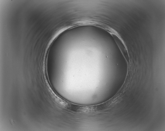 X0000079301195200612011742