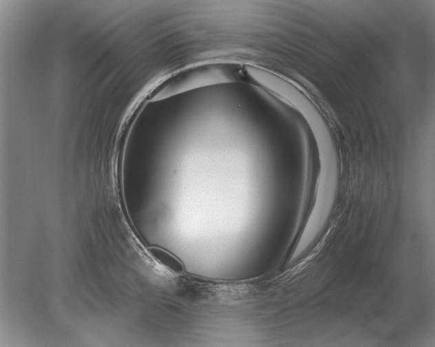 X0000079301196200612011742