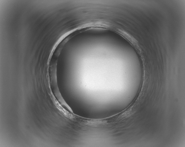 X0000079301200200612011741