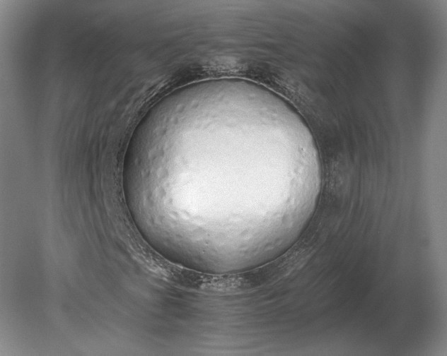 X0000079301201200612011741