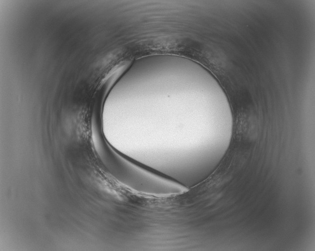 X0000079301202200612011741