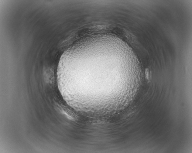 X0000079301203200612011741