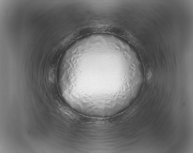 X0000079301204200612011741