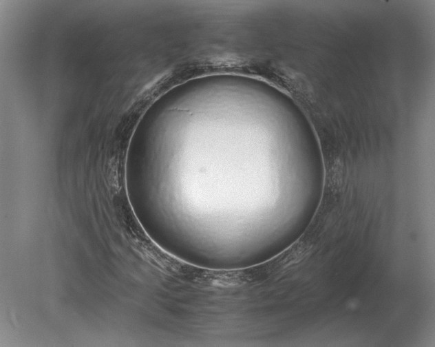 X0000079301205200612011741