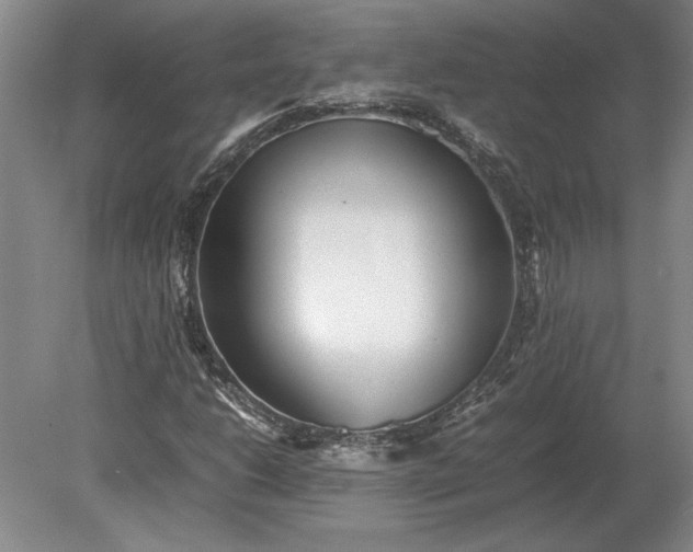 X0000079301206200612011741