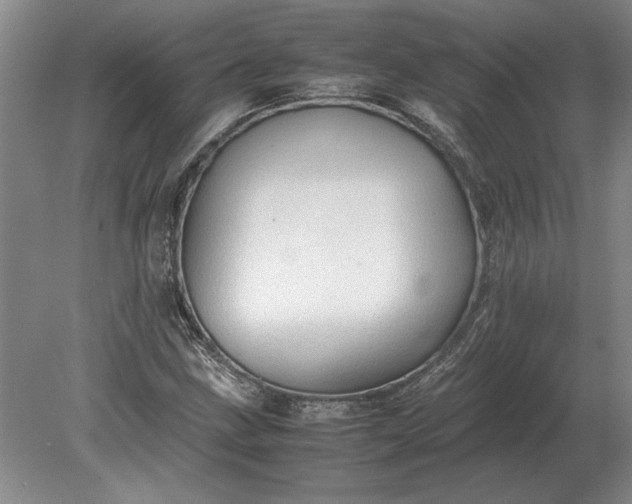 X0000079301211200612011741