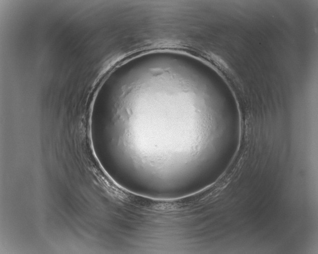 X0000079301212200612011741