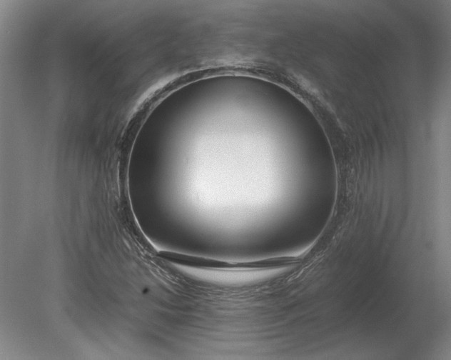 X0000079301214200612011741