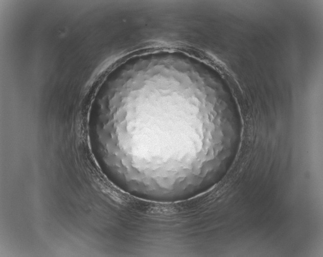 X0000079301215200612011741