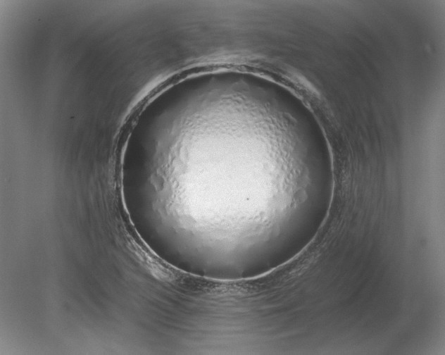 X0000079301216200612011741