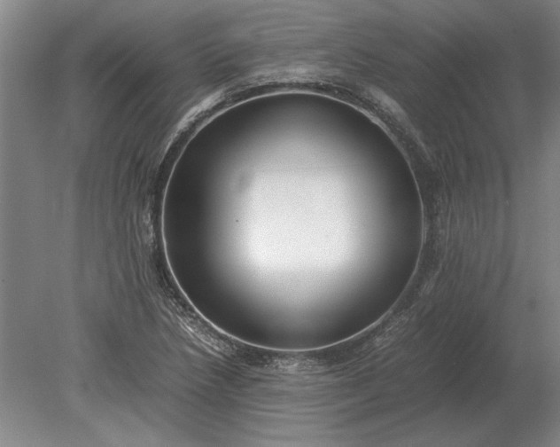 X0000079301218200612011741