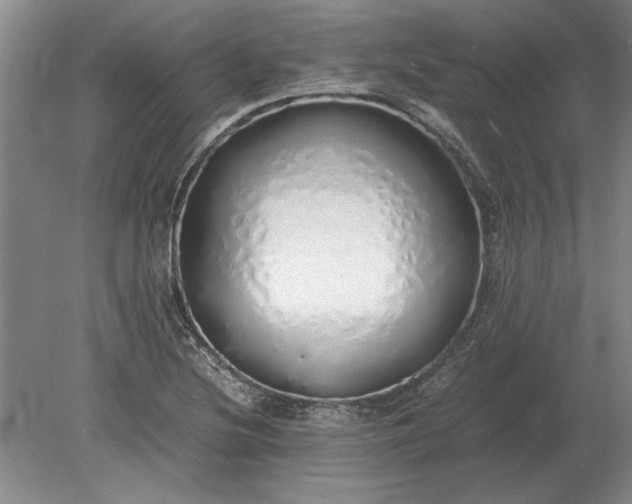 X0000079301220200612011741