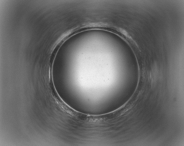 X0000079301221200612011741