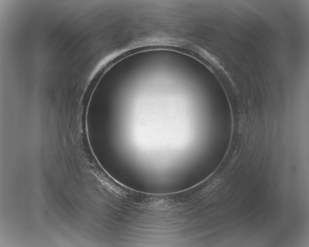 X0000079301222200612011741