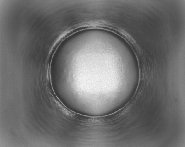 X0000079301224200612011741