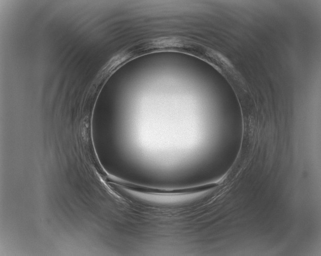 X0000079301225200612011741