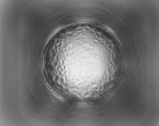 X0000079301227200612011741
