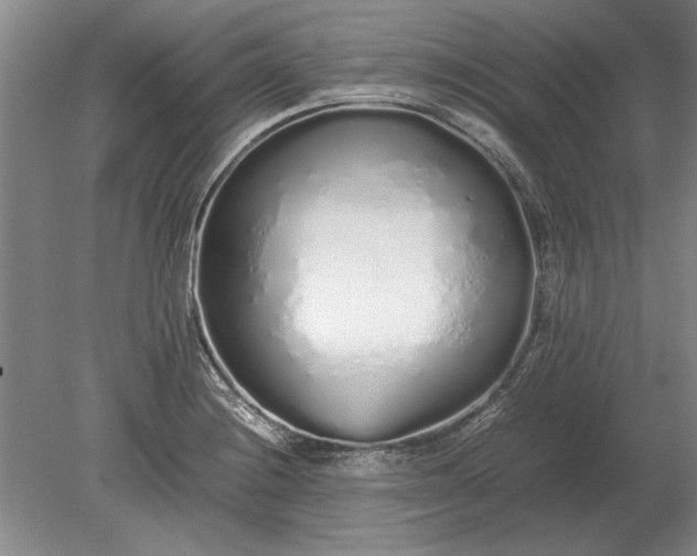 X0000079301228200612011741