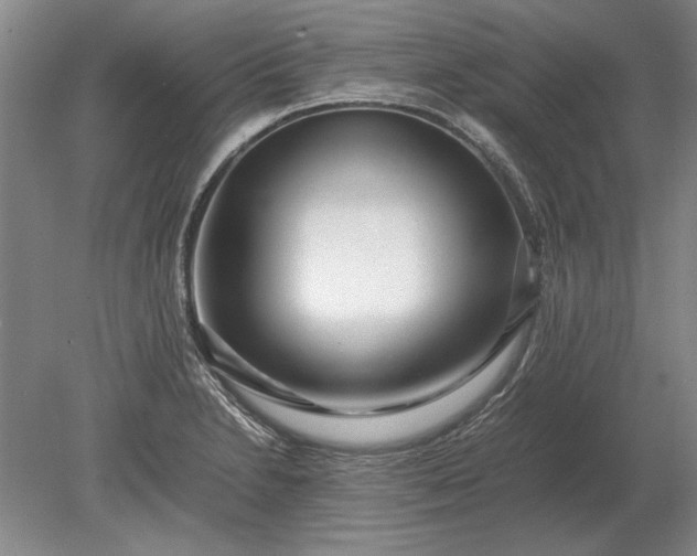 X0000079301230200612011741