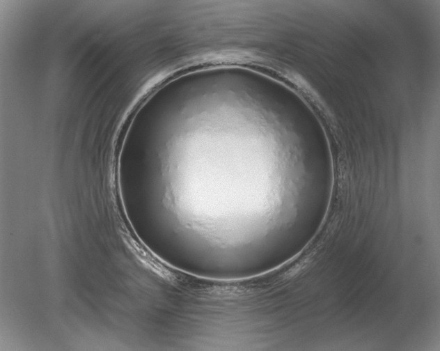 X0000079301232200612011741
