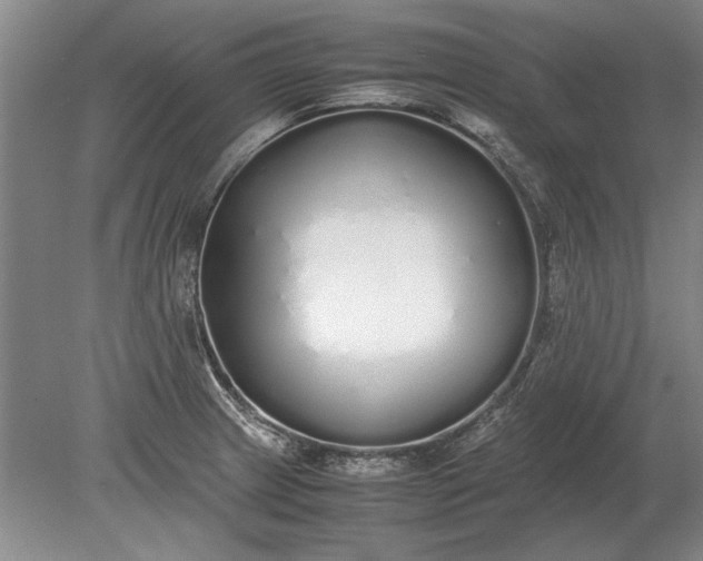 X0000079301233200612011741