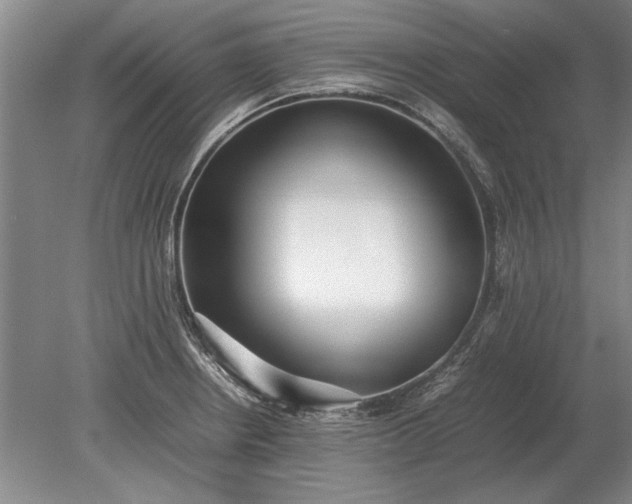 X0000079301234200612011741