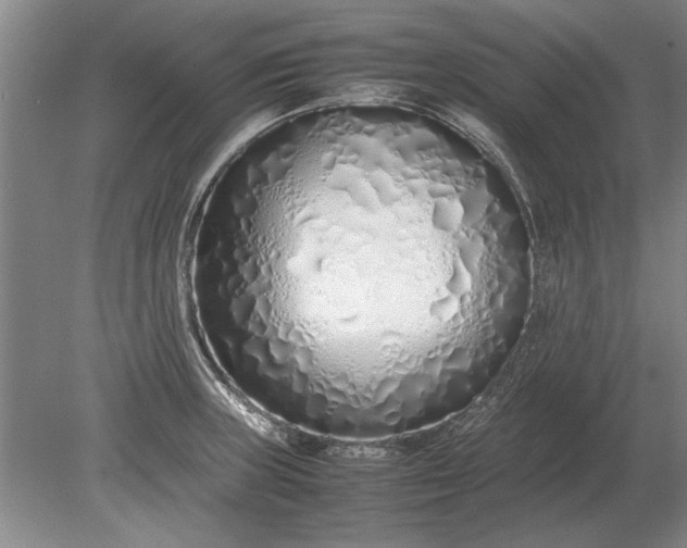 X0000079301235200612011741