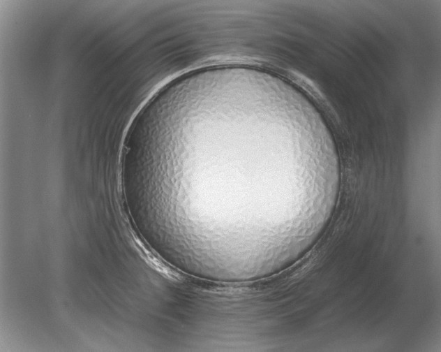 X0000079301236200612011741
