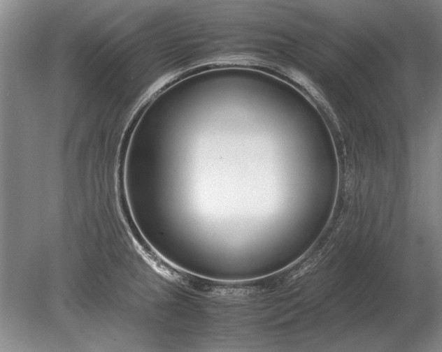 X0000079301237200612011741