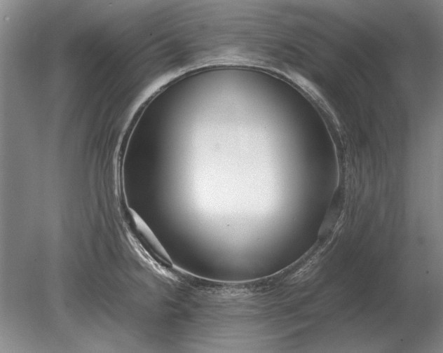X0000079301238200612011741