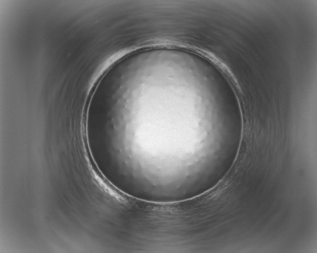 X0000079301239200612011741