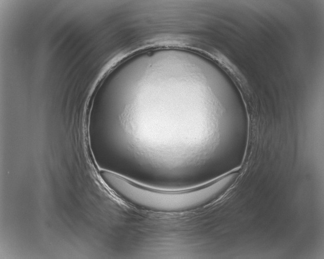 X0000079301240200612011741