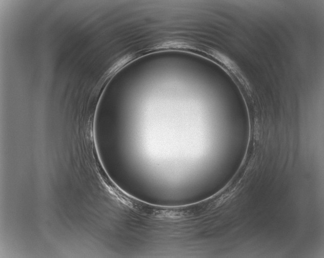 X0000079301241200612011741